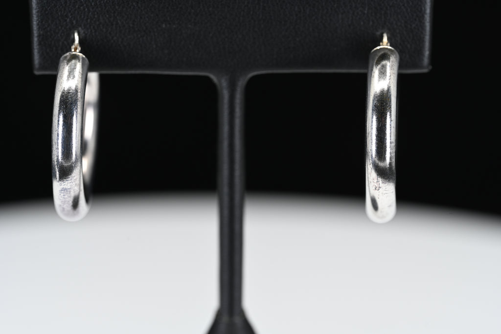 Sterling Silver Hoop Earring
