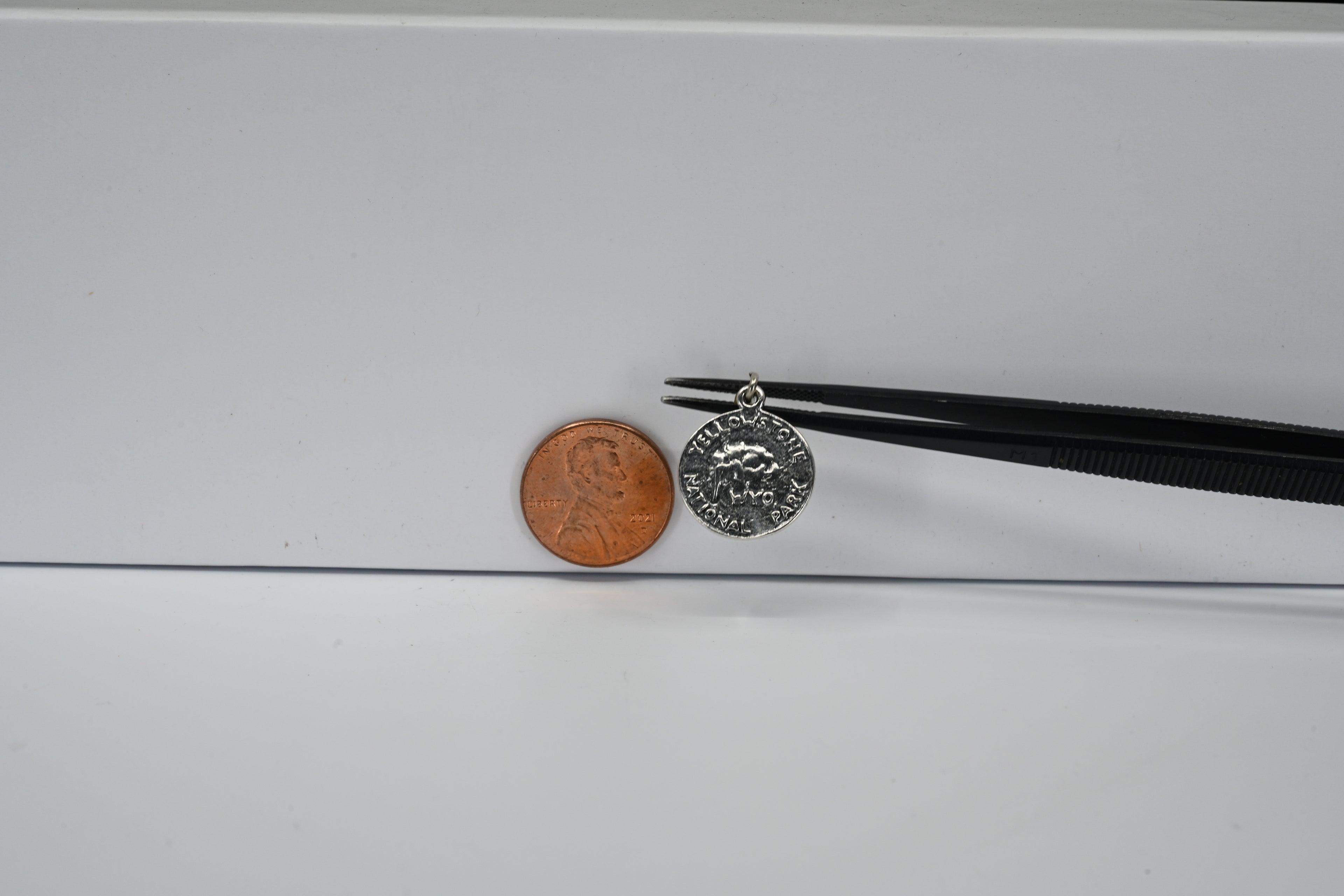 Sterling Silver Round Yellowstone Charm